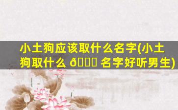 小土狗应该取什么名字(小土狗取什么 🐋 名字好听男生)